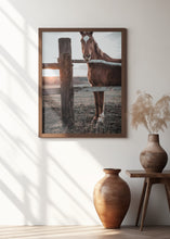 Art Prints of Horse Farm in Skároš, Slovakia