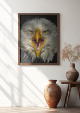 Art Prints of Eagle