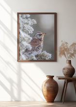 Art Prints of Fieldfare in a winter setting