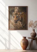 Art Prints of The Tiger