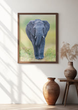 Art Prints of Elephant