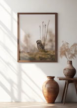 Art Prints of Screech owl in the morning