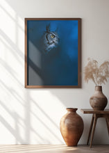 Art Prints of Blue