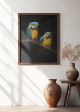 Art Prints of Macaw Parrots