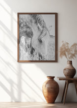 Art Prints of stallion