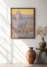 Art Prints of Snowy Owl