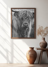 Art Prints of Highland cattle