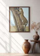 Art Prints of Leopard In Africa