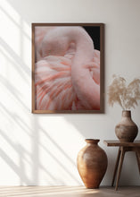 Canvas Art Print Portrait of a Pink Flamingo