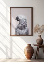 Canvas Art Print African Grey