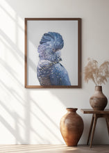 Canvas Art Print Black Cockatoo