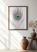 Canvas Art Print Peacock Feather