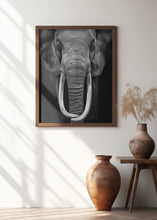 Canvas Art Print Loxodonta