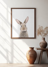 Canvas Art Print Baby Rabbit