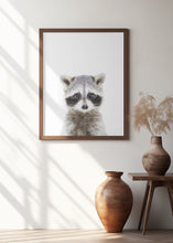 Canvas Art Print Baby Racoon