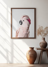 Canvas Art Print Pink Cockatoo