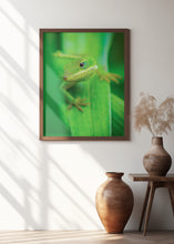 Canvas Art Print Curiosity