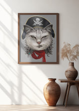 Canvas Art Print pirate