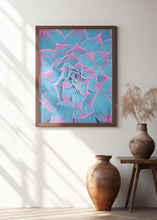 Art Prints of Blue and Pink Succulent