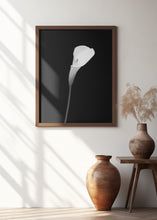 Art Prints of Calla | dark design