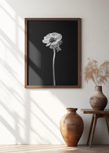 Art Prints of Anemone coronaria | dark design