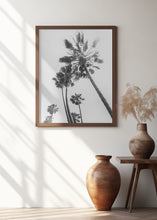 Art Prints of Palm trees in the sun | monochrome