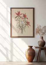 Art Prints of Indian Paintbrush (1883)