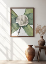 Art Prints of Southern Magnolia (1918)