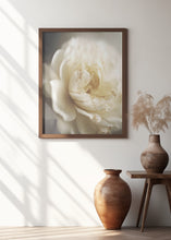 Art Prints of Peonyinsoftlight