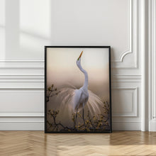 Art Prints of Solo Dance