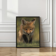 Art Prints of Red Fox Kit