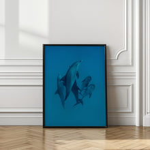 Art Prints of Dolphins 6