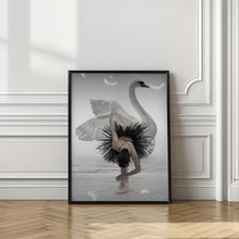 Art Prints of Swan Lake