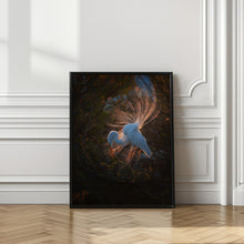 Art Prints of The dancer