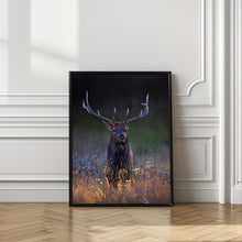 Art Prints of Bull