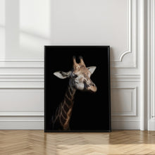 Art Prints of Giraffe in low key