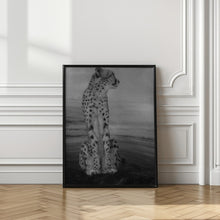 Art Prints of Cheetah on the Watch