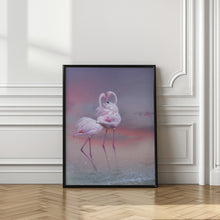 Art Prints of Flamingo Ballet