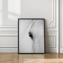 Art Prints of Hose eye