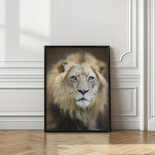 Art Prints of Portrait of a Young Male Lion