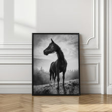 Art Prints of Backlight horse