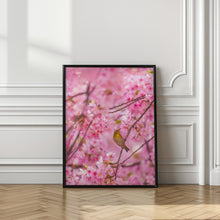 Art Prints of cherry blossoms and bird