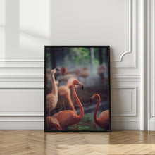 Art Prints of Flamingo