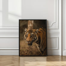 Art Prints of The Tiger