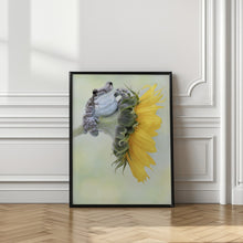 Art Prints of Frog Sunshine