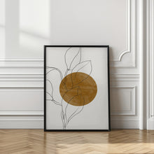 Art Prints of Plant and Sun