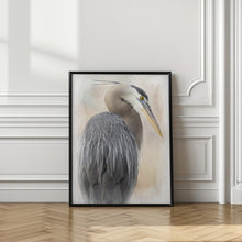 Art Prints of Great Blue Heron Portrait