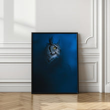 Art Prints of Blue