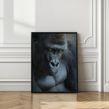 Art Prints of Unhappy Gorilla