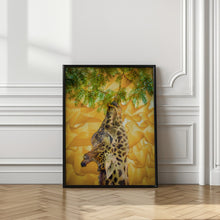 Art Prints of Giraffe at the Zoo